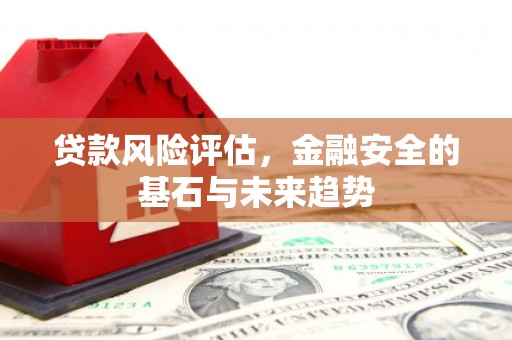 岱山贷款风险评估，金融安全的基石与未来趋势
