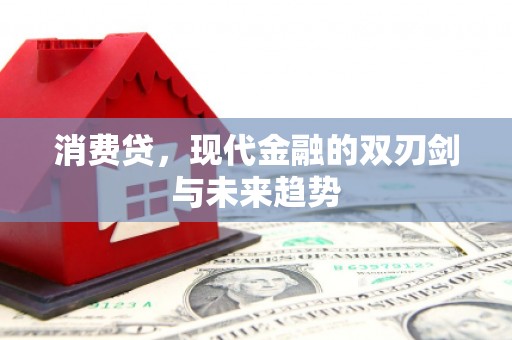 岱山消费贷，现代金融的双刃剑与未来趋势