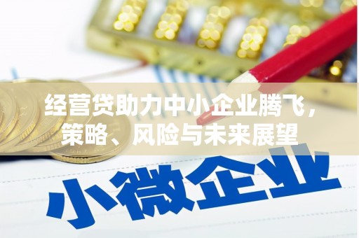 岱山经营贷助力中小企业腾飞，策略、风险与未来展望