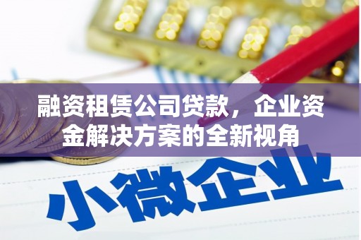 岱山融资租赁公司贷款，企业资金解决方案的全新视角