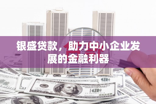岱山银盛贷款，助力中小企业发展的金融利器