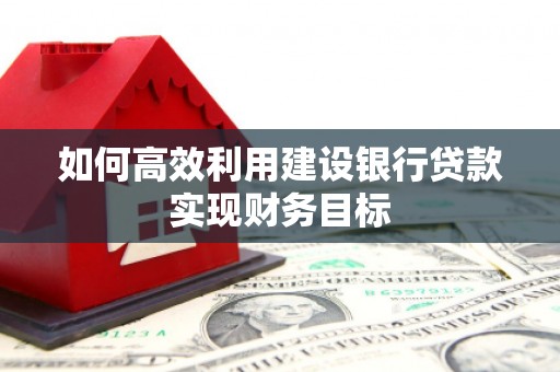 岱山如何高效利用建设银行贷款实现财务目标