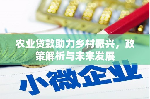 岱山农业贷款助力乡村振兴，政策解析与未来发展