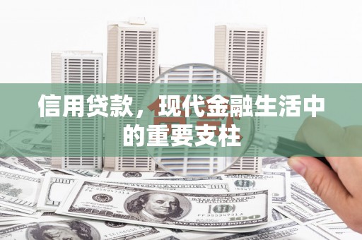 岱山信用贷款，现代金融生活中的重要支柱