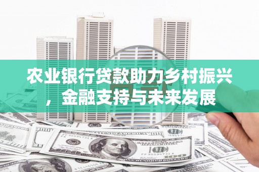 岱山农业银行贷款助力乡村振兴，金融支持与未来发展