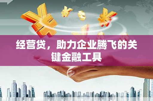 岱山经营贷，助力企业腾飞的关键金融工具