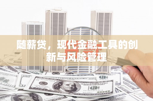 岱山随薪贷，现代金融工具的创新与风险管理
