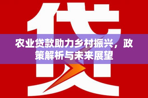 岱山农业贷款助力乡村振兴，政策解析与未来展望