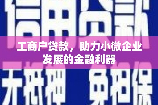 岱山工商户贷款，助力小微企业发展的金融利器