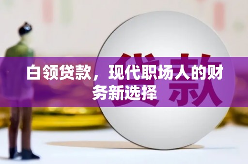 岱山白领贷款，现代职场人的财务新选择