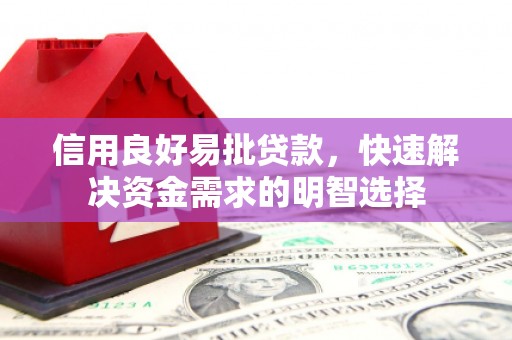 岱山信用良好易批贷款，快速解决资金需求的明智选择