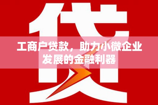 岱山工商户贷款，助力小微企业发展的金融利器