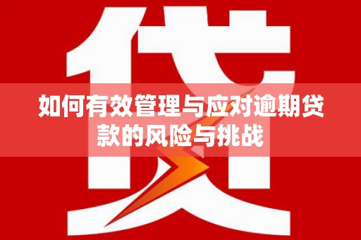 岱山如何有效管理与应对逾期贷款的风险与挑战