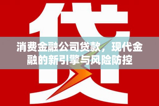 岱山消费金融公司贷款，现代金融的新引擎与风险防控