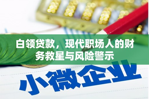 岱山白领贷款，现代职场人的财务救星与风险警示