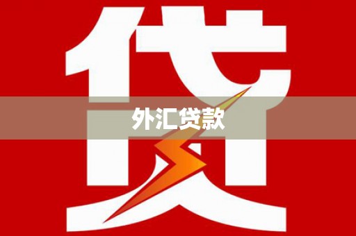 岱山外汇贷款