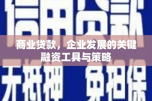 岱山商业贷款，企业发展的关键融资工具与策略