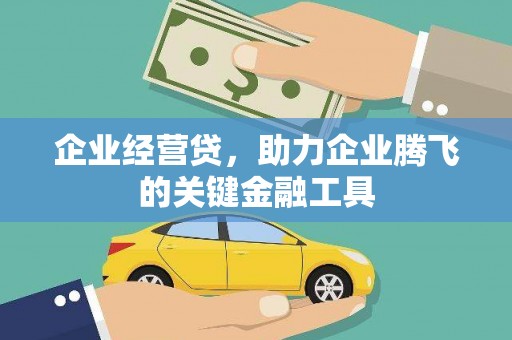 岱山企业经营贷，助力企业腾飞的关键金融工具