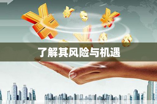 岱山了解其风险与机遇