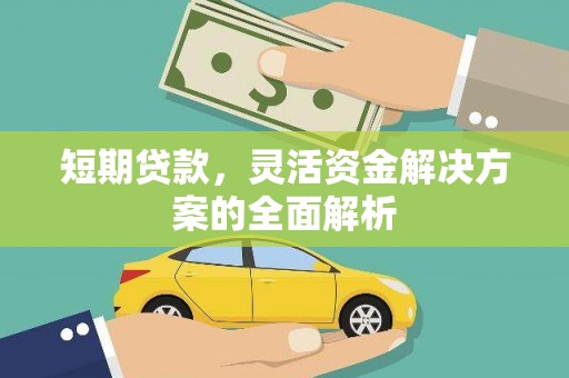 岱山短期贷款，灵活资金解决方案的全面解析