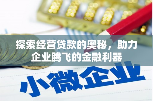 岱山探索经营贷款的奥秘，助力企业腾飞的金融利器