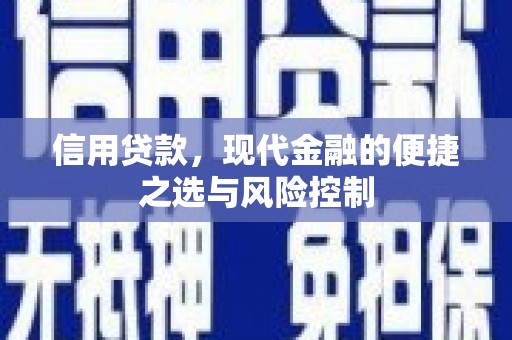 岱山信用贷款，现代金融的便捷之选与风险控制