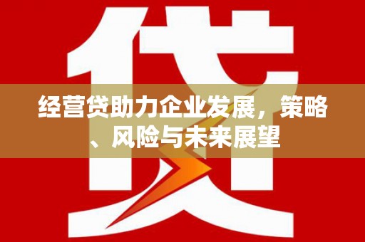 岱山经营贷助力企业发展，策略、风险与未来展望