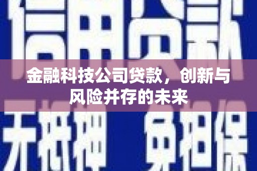 岱山金融科技公司贷款，创新与风险并存的未来