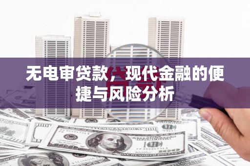 岱山无电审贷款，现代金融的便捷与风险分析