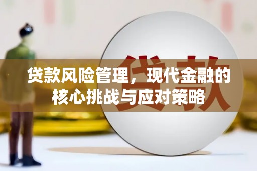 岱山贷款风险管理，现代金融的核心挑战与应对策略