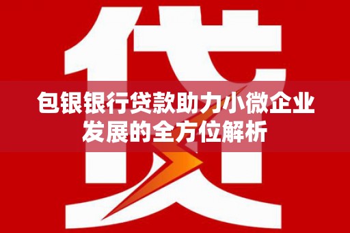 岱山包银银行贷款助力小微企业发展的全方位解析 岱山包银银行贷款助力小微企业发展的全方位解析