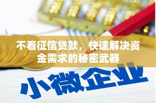 岱山不看征信贷款，快速解决资金需求的秘密武器