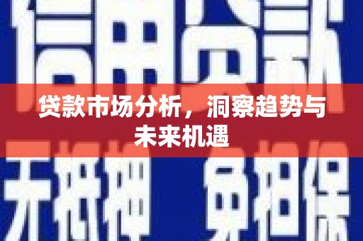 岱山贷款市场分析，洞察趋势与未来机遇