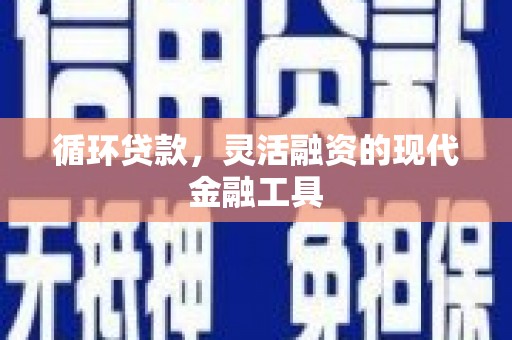 岱山循环贷款，灵活融资的现代金融工具
