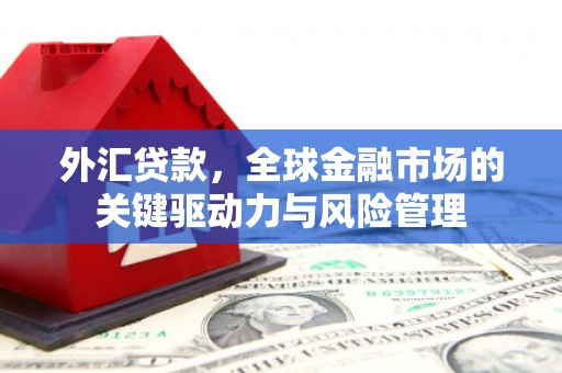 岱山外汇贷款，全球金融市场的关键驱动力与风险管理