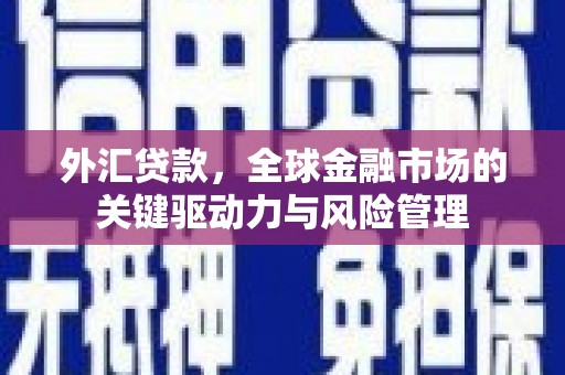 岱山外汇贷款，全球金融市场的关键驱动力与风险管理