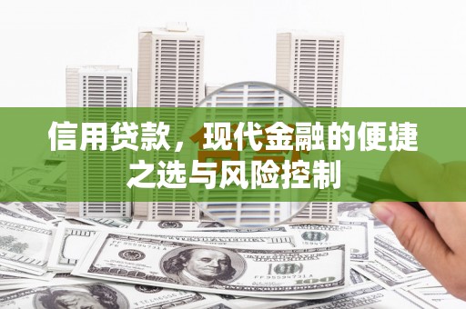 岱山信用贷款，现代金融的便捷之选与风险控制