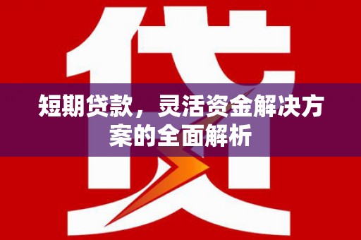 岱山短期贷款，灵活资金解决方案的全面解析