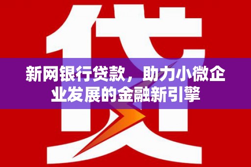 岱山新网银行贷款，助力小微企业发展的金融新引擎