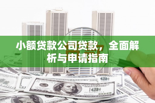 岱山小额贷款公司贷款，全面解析与申请指南