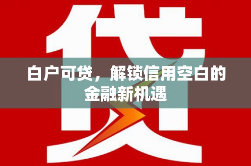 岱山白户可贷，解锁信用空白的金融新机遇