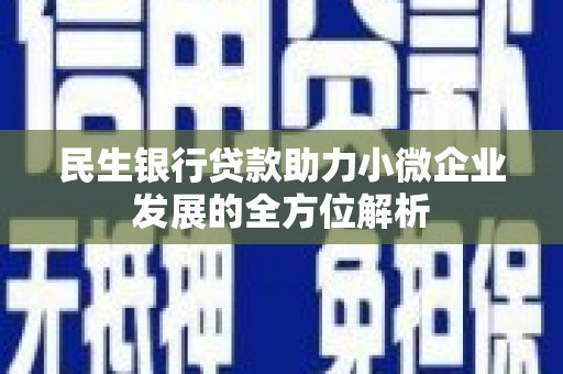 岱山民生银行贷款助力小微企业发展的全方位解析