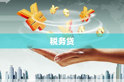 岱山税务贷