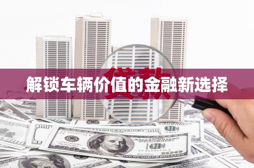 岱山解锁车辆价值的金融新选择