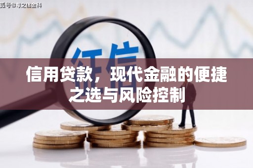 岱山信用贷款，现代金融的便捷之选与风险控制