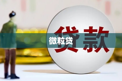 岱山微粒贷
