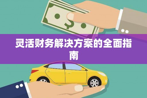 岱山灵活财务解决方案的全面指南