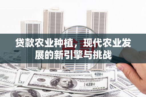 岱山贷款农业种植，现代农业发展的新引擎与挑战