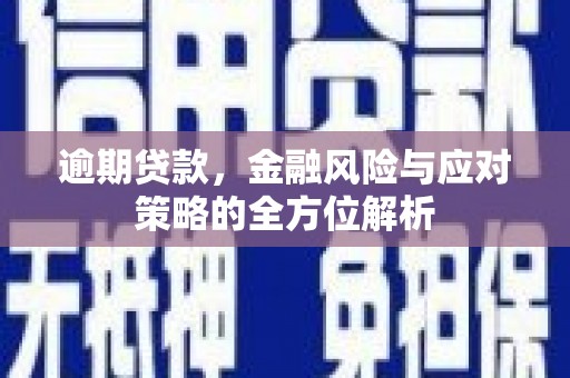 岱山逾期贷款，金融风险与应对策略的全方位解析