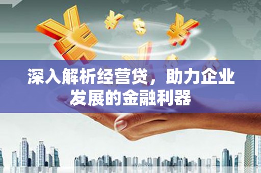 岱山深入解析经营贷，助力企业发展的金融利器